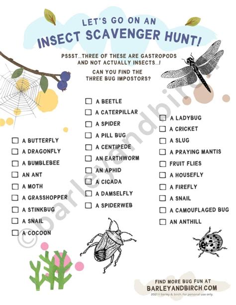 Free Printable Insect Scavenger Hunt Bundle Barley And Birch