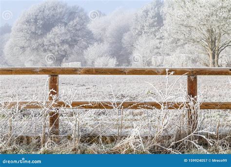 Rural Winter Snow Scene And Fence Stock Image Image Of Nature