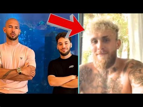 Andrew Tate Offers To Spar Jake Paul Youtube