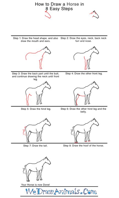 How To Draw A Horse Rearing Step By Step