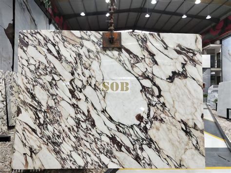 Calacatta Viola Marble Slabs