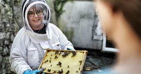 Wülfrath Bienen von Imker Uchtenhagen arbeiten am Zeittunnel