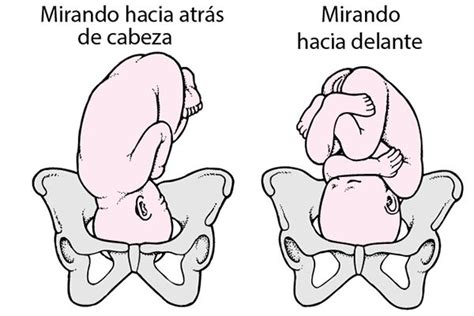 Cómo saber la posición del bebé en la barriga Postpartum Hemorrhage