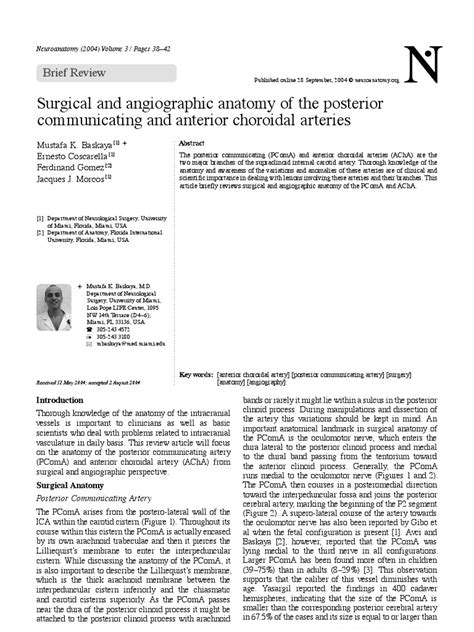 PDF Surgical And Angiographic Anatomy Of The Posterior DOKUMEN TIPS