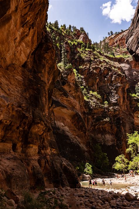 Everything You Need To Know About Hiking The Narrows In Zion National ...