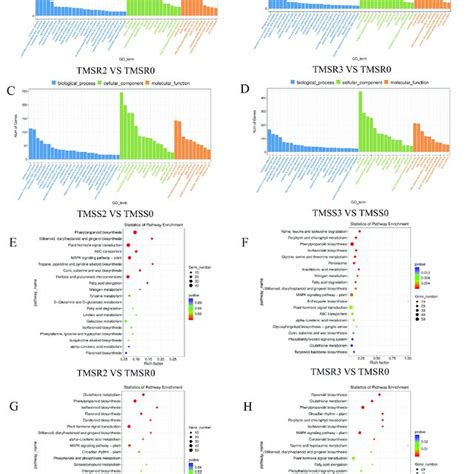 Gene Ontology Go Classification And Kyoto Encyclopedia Of Genes And