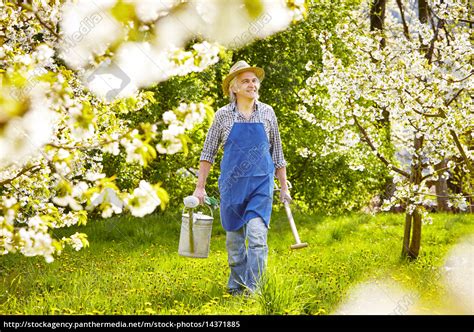 Gießkanne Spaten Kirschbaum Gärtner Lizenzfreies Bild 14371885