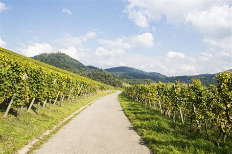 Baden Badener Weinhaus Am Mauerberg Gmbh Weinland Baden