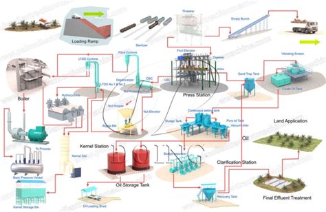 Palm Oil Extraction Flow Chart Introductionpalm Oil Processing Faq