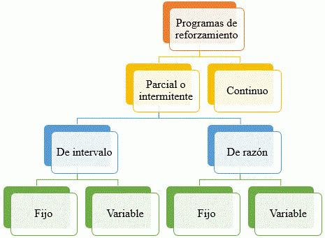 Programa De Reforzamiento Continuo XIli