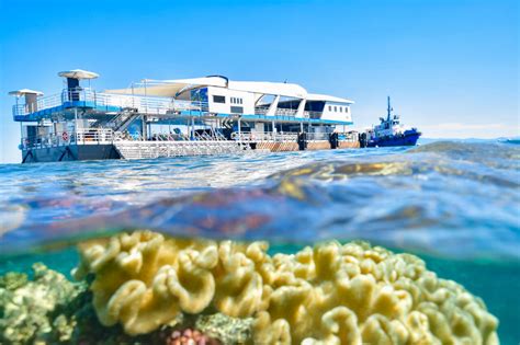 cairns helicopter flights great barrier reef