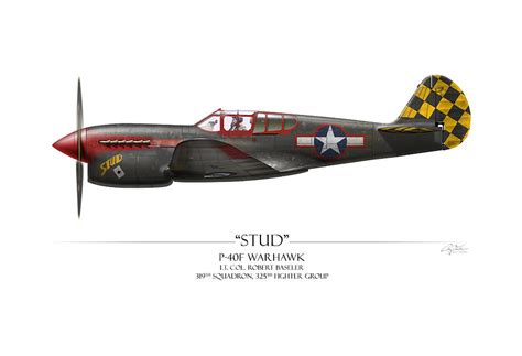 Stud P-40 Warhawk - White Background Painting by Craig Tinder - Pixels