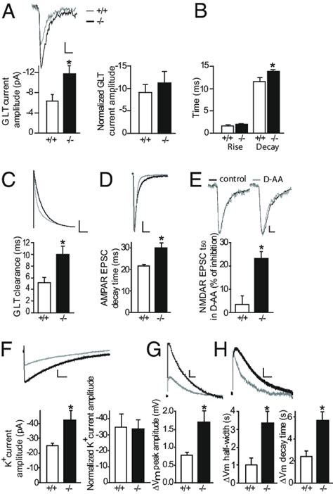 Enhanced Extracellular Glutamate And Potassium Levels In Cx30 −− Cx43