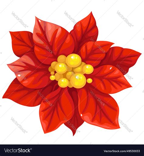 Large Red Decorative Holly Flower Isolated Vector Image