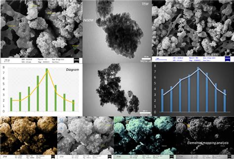 Tem Fesem And Elemental Mapping Analyses With A Graph Representing The