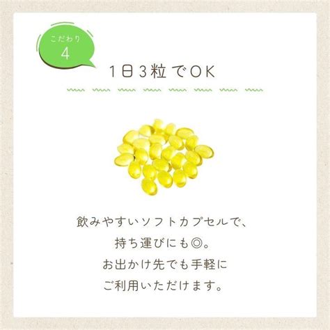 国産 えごま油 サプリ 90粒入 1日3粒 3袋 オメガ3 えごま 無添加 岐阜県産 飛騨産 Keyroom 10002040