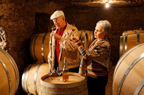 14 Top Things to Expect at a Winery Tour - Travelila