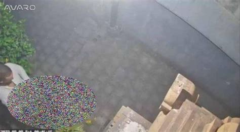 Tourist Deported And Blacklisted After Video Of Sex Act In Stranger S