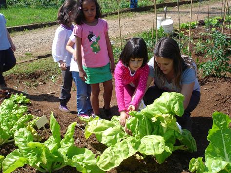 PROYECTO EL HUERTO ESCOLAR Cultivando Paso A Paso