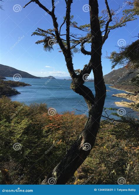 Lake...Tierra Del Fuego National Park Ushuaia Argentina Stock Image