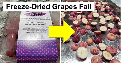 Freeze-Dried Grapes: My First Real Failure – reThinkSurvival.com