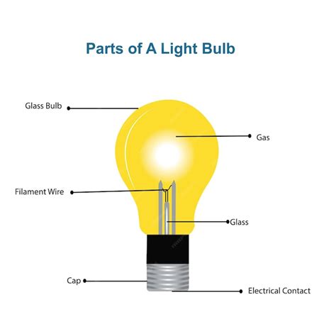 Premium Vector | Vector diagram showing parts of light bulb