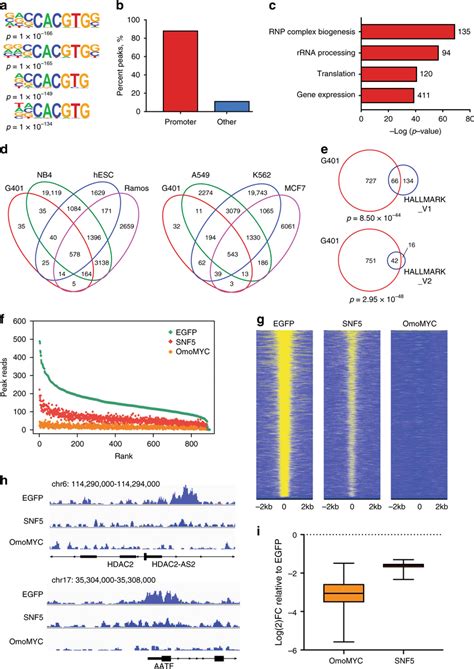 SNF5 Inhibits Chromatin Binding By MYC In MRT Cells A Known Motif