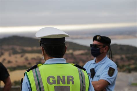 GNR apreende mais de meia tonelada de canábis em Arraiolos Tribuna