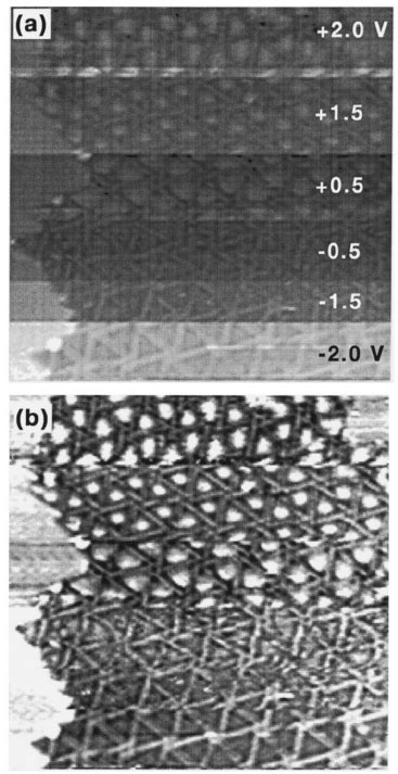 STM image taken on an area that had been scanned previously with an STM... | Download Scientific ...