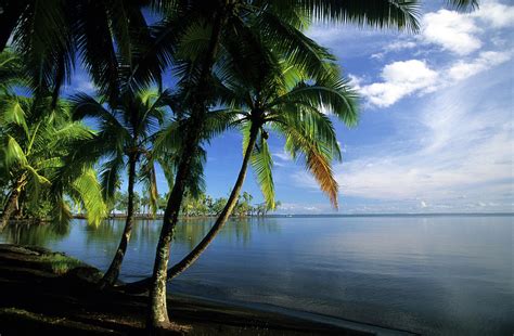 Lagoon Near The Batanical Gardens Tahiti French Polynesia South Sea