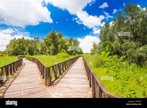 Wooden Path In Nature Park Kopacki Rit In Slavonia Croatia Popular