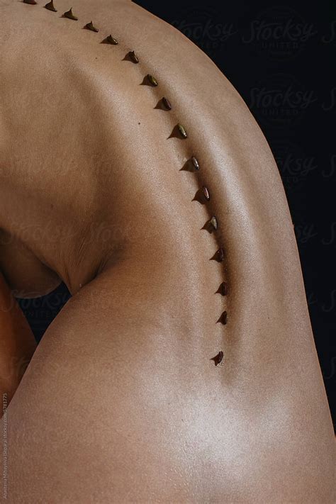 Close Up Photo Of Naked Woman S Skin Of The Back With Thorns On Spine