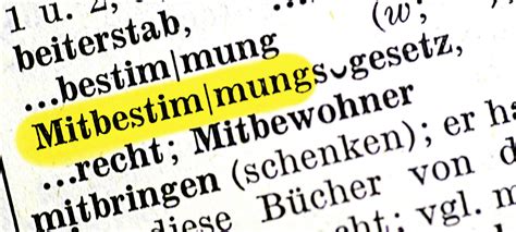 neue Studie zur Mitbestimmungsvermeidung Institut für Mitbestimmung