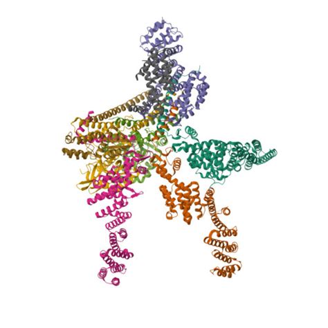 RCSB PDB 4D18 Crystal Structure Of The COP9 Signalosome