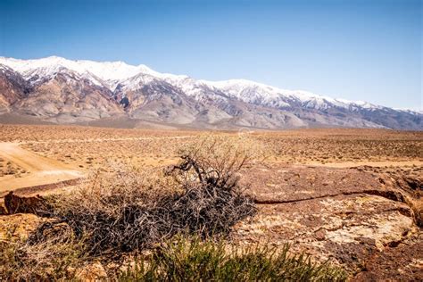 Spectacular Native American Petroglyohs At Chalfant Valley Stock Photo