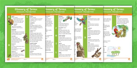 Glossary Of Terms Amazon Rainforest Teacher Made Twinkl