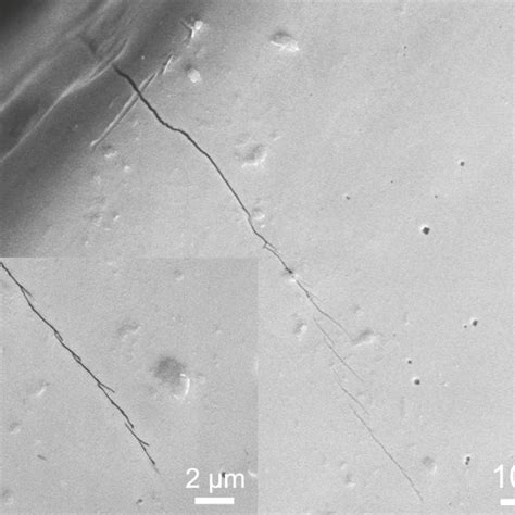 A Optical Micrograph Of The Crack S Tip On The Side Surface Of The