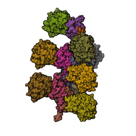 RCSB PDB 7QV7 Cryo EM Structure Of Hydrogen Dependent CO2 Reductase