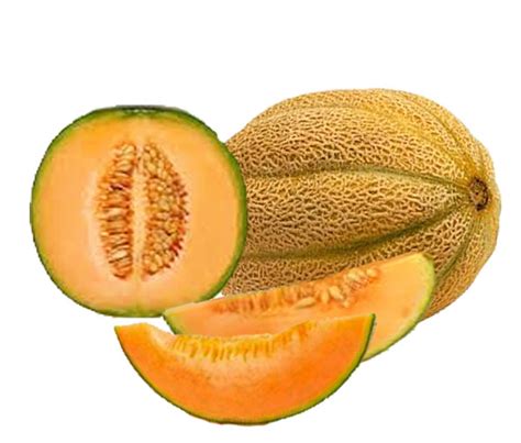 Cantaloupe - Health Properties , Nutrition Guide | Veggies Info