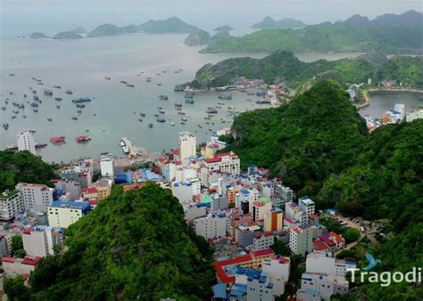 cat ba viet nam cat ba island  travel cuisine tragodi