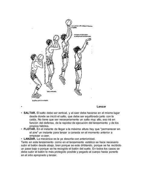 Medidas Oficiales De La Cancha De Basquetbol Pdf