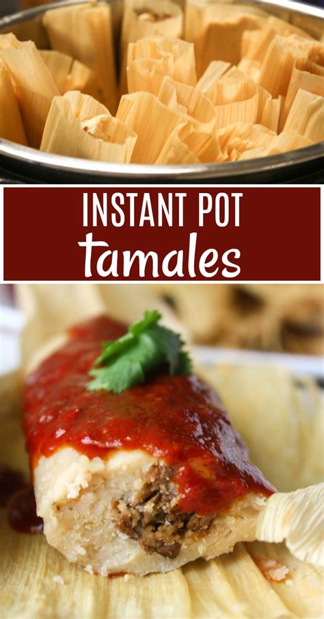 Instant Pot Tamales Daily Appetite