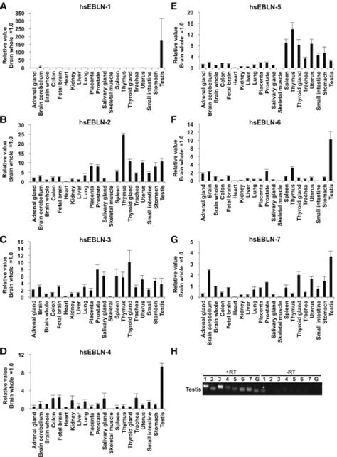 Transcription Profiling Demonstrates Epigenetic Control Of Non