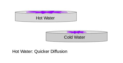 Risha Hornby High School Diffusion Of Potassium Permanganate Science