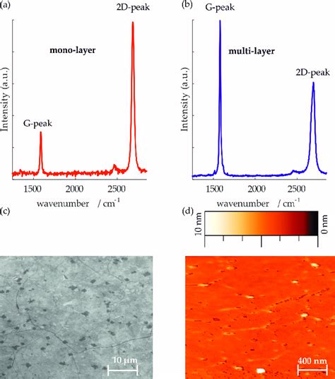 Representative Raman Spectra With An Excitation Wavelength Of 532 Nm Download Scientific