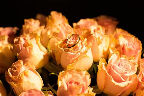 Wedding Rings On The Yellow Roses Stock Photo Image Of Macro Bouquet