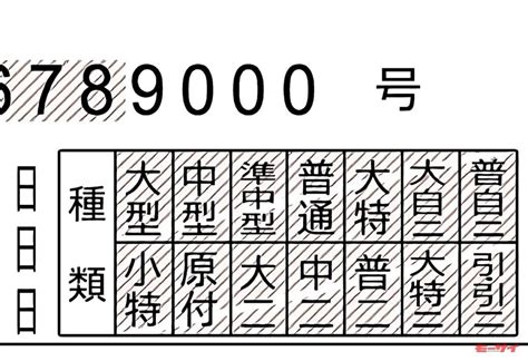 “最強”の免許証「フルビット」すでに免許を持っている人でも今から取得を目指せるの？ モーサイ