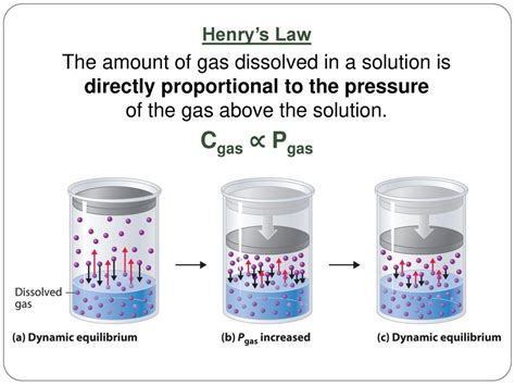 Henry’s Law Ap Ppt Download