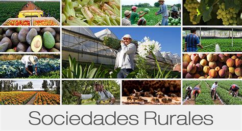 ¿qué Son Las Sociedades Rurales Registro Agrario Nacional Gobierno