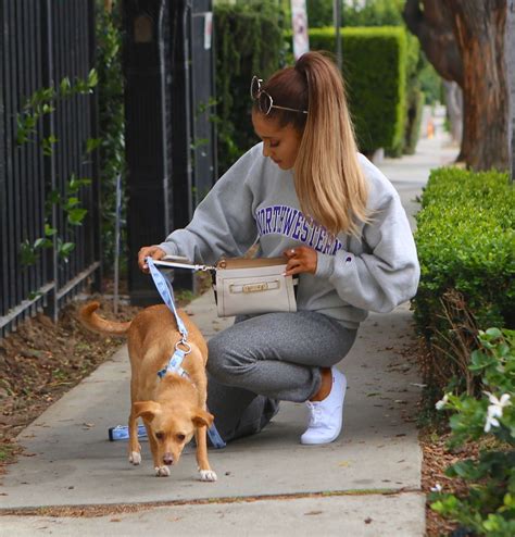 Ariana Grande With Her Famous Pup Toulouse 11 Gotceleb